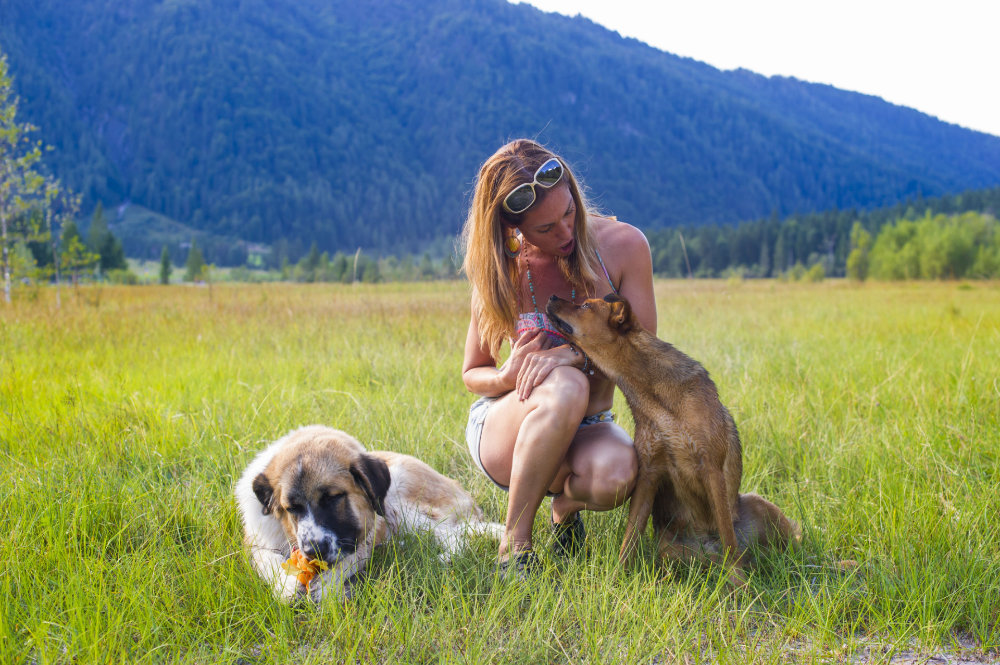 kikis dog care hundebetreuung fieberbrunn social walks00018